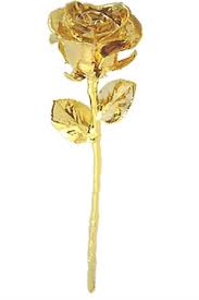 24K Gold Plated Rose