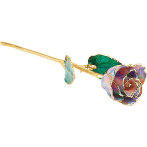 Lacquered October Opal Birthstone Rose